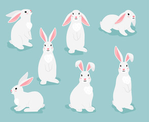 Rabbit characters. White furry hares isolated on white background. Funny bunny pets pose collection. Vector illustration of cartoon cute easter rabbits. Chinese new year symbol