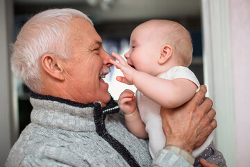 A newborn baby touches the old grandfather by the nose. An elderly man is having fun with his...