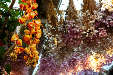 A colorful closeup of dried flowers, dried oranges, fragrant herb leaves.
