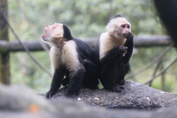 baby mother and baby