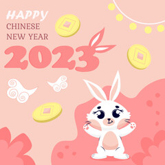 Chinese new year greeting card with a cute rabbit