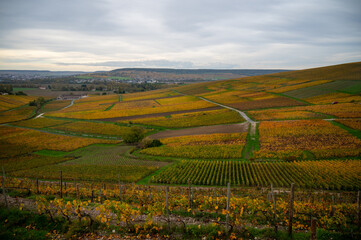 Fototapeta na wymiar Panoramic autuimn view on champagne vineyards in village Hautvillers near Epernay, Champange, France