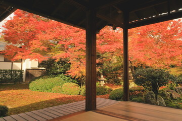 京都鷹峯の紅葉