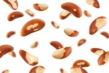 Falling Brazil Nut, isolated on white background, selective focus