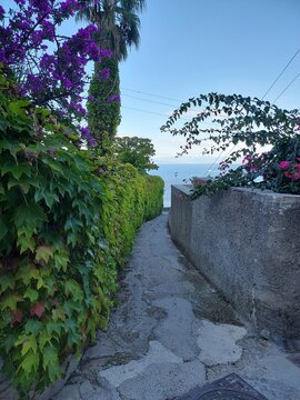 Capri walkway full of flowers