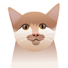 portrait of a cat looking at the camera