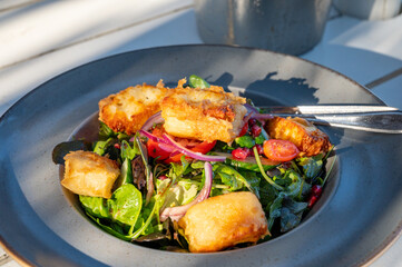 Healthy vegetarian Mediterranean food, Grilled Halloumi cheese Salad with green lettuce, onion and cucumber