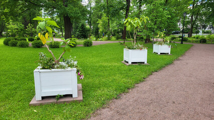 On the green lawn in the park there is a square white wooden flower bed with flowers