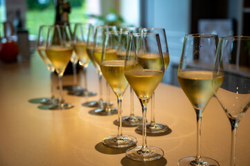 Tasting of brut and reserve champagne sparkling wine produced by traditional method in underground caves in Champagne, France