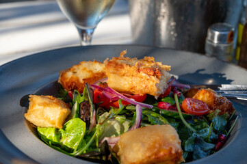 Healthy vegetarian Mediterranean food, Grilled Halloumi cheese Salad with green lettuce, onion and cucumber