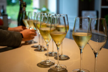 Tasting of brut and reserve champagne sparkling wine produced by traditional method in underground caves in Champagne, France