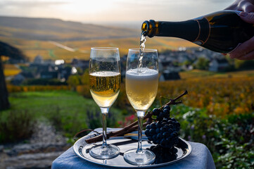 Tasting of premier cru sparkling white wine with bubbles champagne on outdoor terrace with view on...