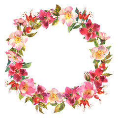 Fototapeta na wymiar Watercolor rose hip wreath. Flowers, leaves and fruits of wild roses. Watercolor illustration isolated on white background.