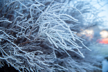 Winter in Limerick, Ireland