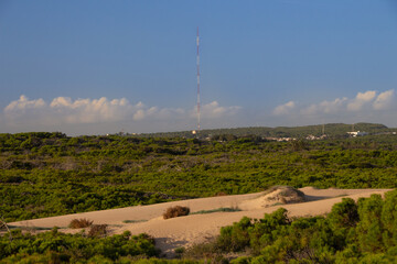 Vega Baja del Segura - Guardamar - Las dunas y pinada de Guardamar, un paisaje de desierto junto al...