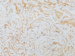 Dolomite texture. Natural rock with beautiful beige patterns on the surface. Polished flat stone. Classic luxury decoration building material. Solid stone background.