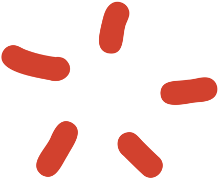 Chinese lunar new year elements for decoration 