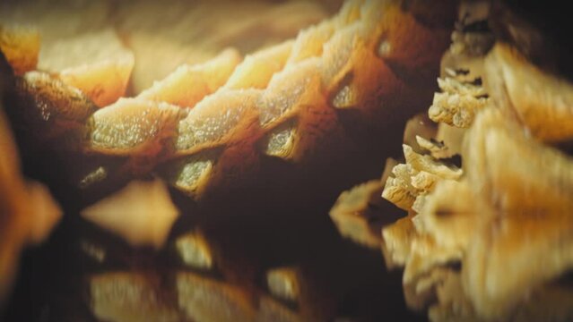 Cinematic 3D animated psychedelic kaleidoscope, abstract fractal background. Crystal multidimensional complex sacred geometry structures. Zen, meditation background.