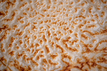 Pancake.