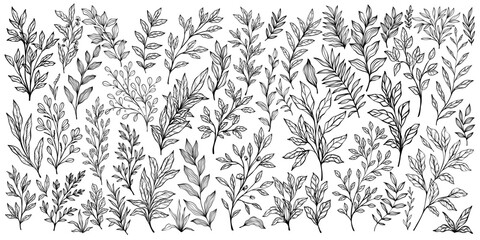 Set of branch and leaves collection. Floral hand drawn vintage set. Sketch line art illustration. Element design for greeting cards and invitations of the wedding, birthday,