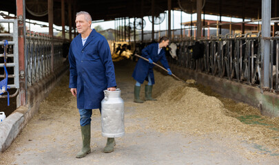 Fototapeta premium Middle-aged man farmer carrying milk can while walking through cowhouse.