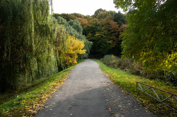 The old asphalt road goes into the distance. Green forest, early autumn.