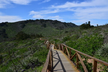 Fototapeta na wymiar National park Fray Jorge, La Serena, Chile