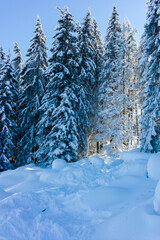 Winter landscape of Vitosha Mountain, Bulgaria