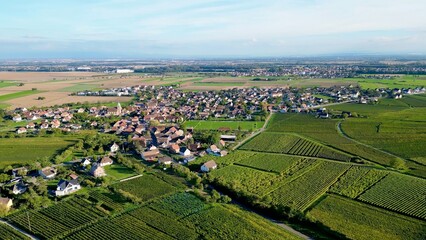 Fototapeta na wymiar Panoramic aerial drone top view of the rural village of Bergholtz (Upper-Rhine, France) in summer day, between mountains, vineyards and fields of the Alsace plain