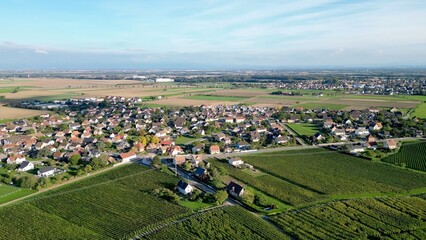 Fototapeta na wymiar Panoramic aerial drone top view of the rural village of Bergholtz (Upper-Rhine, France) in summer day, between mountains, vineyards and fields of the Alsace plain