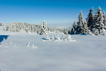 Winter landscape of Vitosha Mountain, Bulgaria