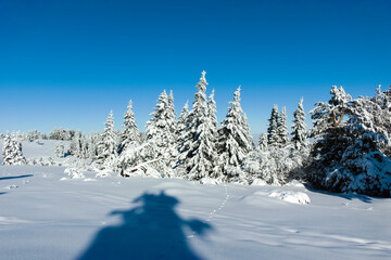 Winter landscape of Vitosha Mountain, Bulgaria