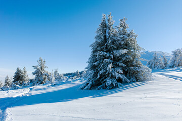 Winter landscape of Vitosha Mountain, Bulgaria