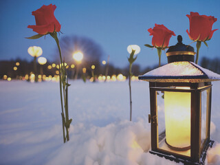 lantern in the snow