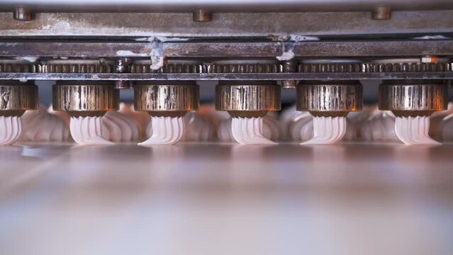 Automatic line for the production of marshmallows. Device for forming sweet confectionery products. Food factory concept.