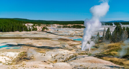 Panoramic view of geysers steaming in Upper Basin in Yellowstone National Park