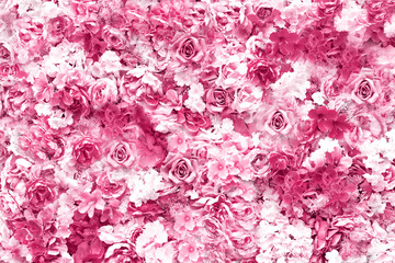 Pink floral background with spring flowers. Rose petals close-up.