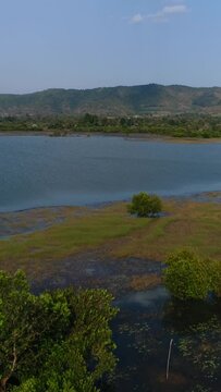 Vertical video of Drone footage of Brateak Krola Lake between Kampot and Kep, Cambodia. The camera is starting low behing a few trees growing on the shore of the lake and is ascending showing its gree