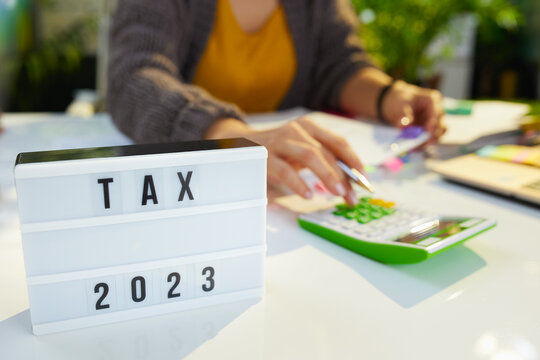 tax time. accountant woman working with documents