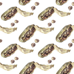 Seamless pattern watercolor cardamom on white background. Fragrance condiment for cooking dessert or drink. Christmas food with cardamon. Art for kitchen cookbook and sticker. Wallpaper wrapping