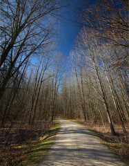 Tall Pines Area, Walnut Woods Metro Park, Groveport, Ohio