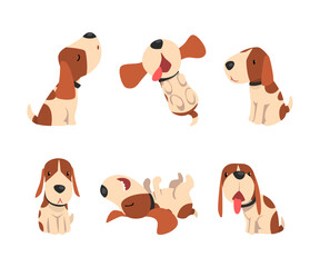 Jack Russell Terrier Dog with Cute Snout and Coat with Brown Spot in Different Pose Vector Set