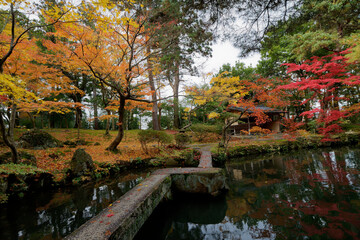 Fototapeta na wymiar 回遊式日本庭園と紅葉の美