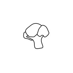 illustration vector graphic of brocoli line art perfect for logos, icons, designs, posters, flyers, advertisements, and drawing books 