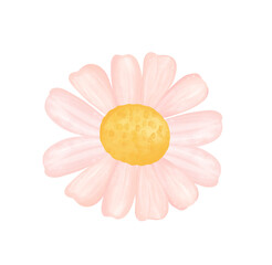 cute single daisy flower watercolour cartoon  © Natsicha