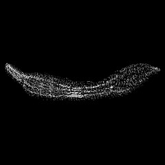 Urechis unicinctus (Penis Fish) hand drawing vector isolated on black background.