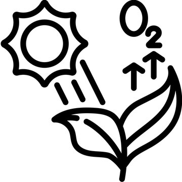 Photosynthesis Icon