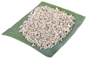 Fresh red ant eggs isolated on white background