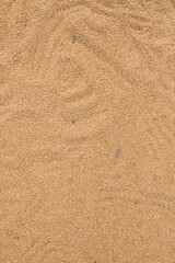 Texture of durum wheat seeds.Compact pile of seeds grain.