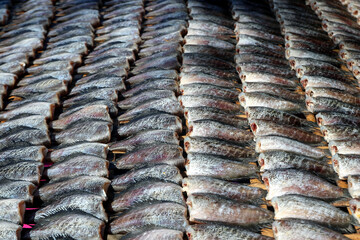 dried trichogaster fish at the market